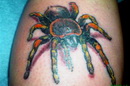 Tattoo- und Piercingstudio Alzey - Tiere und Blumen made by Ralf