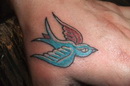 Tattoo- und Piercingstudio Alzey - Tiere und Blumen made by Ralf