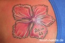 Tattoo- und Piercingstudio Alzey - Tiere und Blumen made by Ralf
