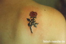 Tattoo- und Piercingstudio Alzey - Tiere und Blumen made by Ralf